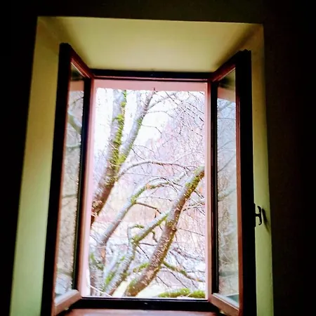 Rifugio Val Serenaia Bed & Breakfast *